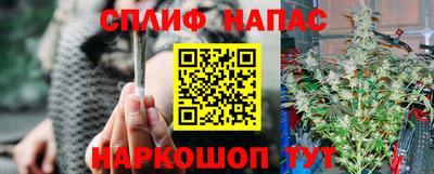 стаф Моздок