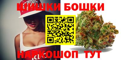 стаф Моздок