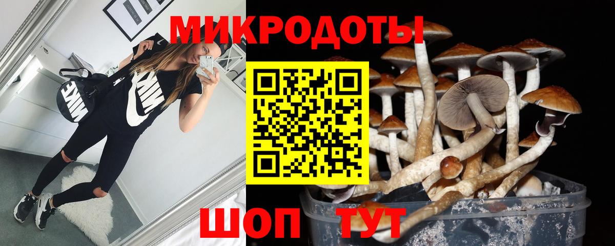 Псилоцибиновые грибы Magic Shrooms Тара