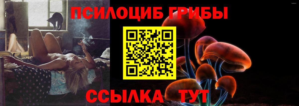 Псилоцибиновые грибы мицелий  Вход с VPN  Тара 