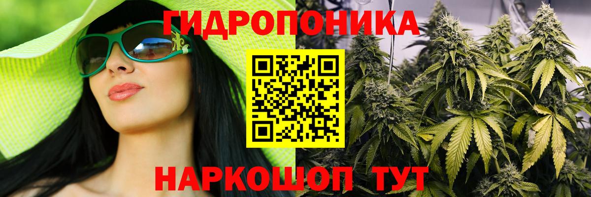 Бошки марихуана ГИДРОПОН  Вход с VPN  МАРИХУАНА план  Бошки марихуана Bruce Banner  Тара 